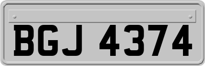 BGJ4374
