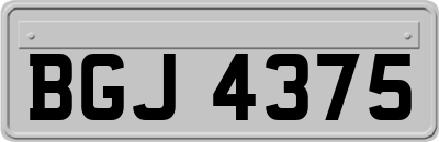 BGJ4375