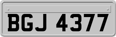 BGJ4377