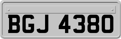 BGJ4380