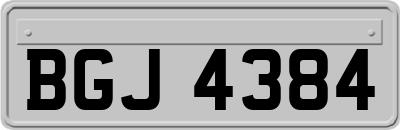 BGJ4384
