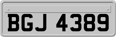 BGJ4389