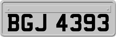 BGJ4393