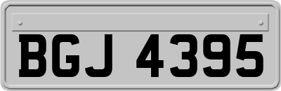 BGJ4395