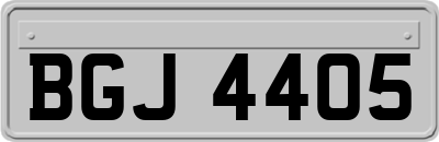 BGJ4405