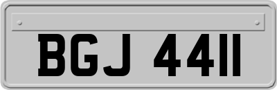 BGJ4411