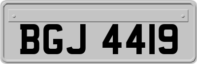 BGJ4419