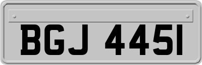 BGJ4451