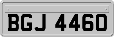 BGJ4460