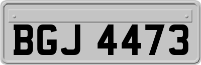 BGJ4473