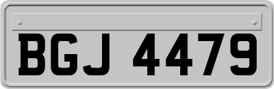 BGJ4479