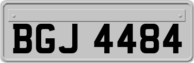 BGJ4484
