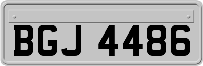 BGJ4486