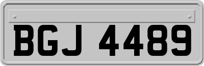 BGJ4489