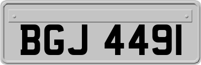 BGJ4491