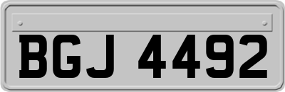 BGJ4492