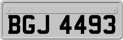 BGJ4493