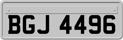 BGJ4496