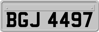 BGJ4497