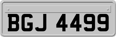 BGJ4499