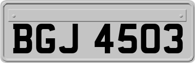 BGJ4503