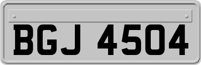 BGJ4504