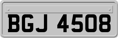 BGJ4508