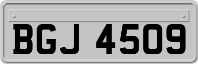 BGJ4509