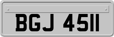 BGJ4511