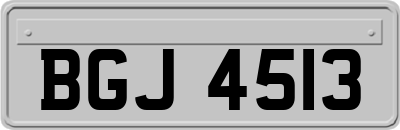 BGJ4513
