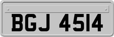 BGJ4514