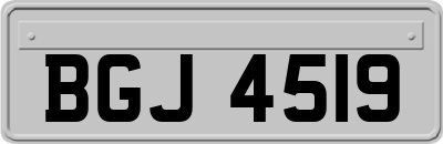 BGJ4519