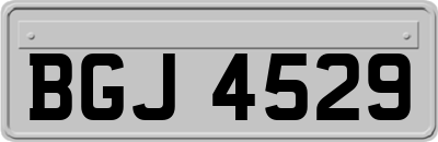 BGJ4529