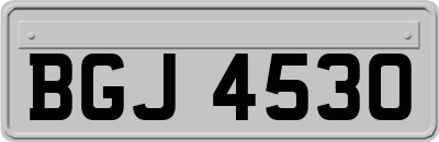 BGJ4530