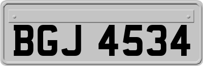 BGJ4534