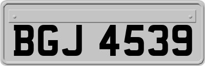 BGJ4539