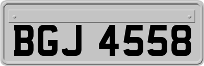 BGJ4558