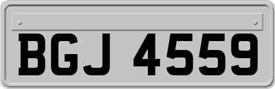 BGJ4559