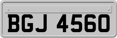 BGJ4560