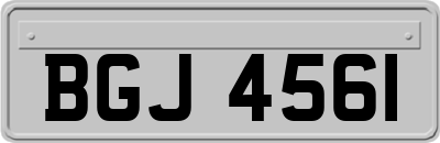 BGJ4561