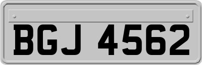 BGJ4562