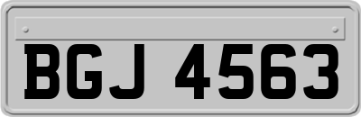 BGJ4563