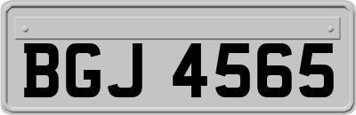 BGJ4565