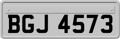 BGJ4573