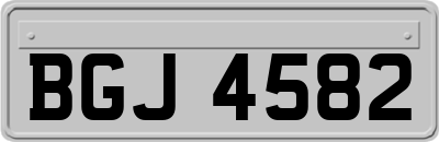 BGJ4582