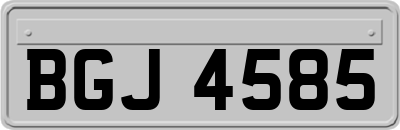 BGJ4585
