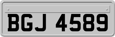 BGJ4589