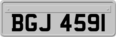 BGJ4591