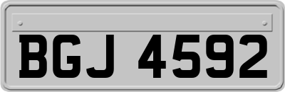 BGJ4592