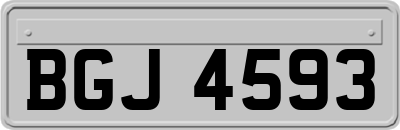 BGJ4593